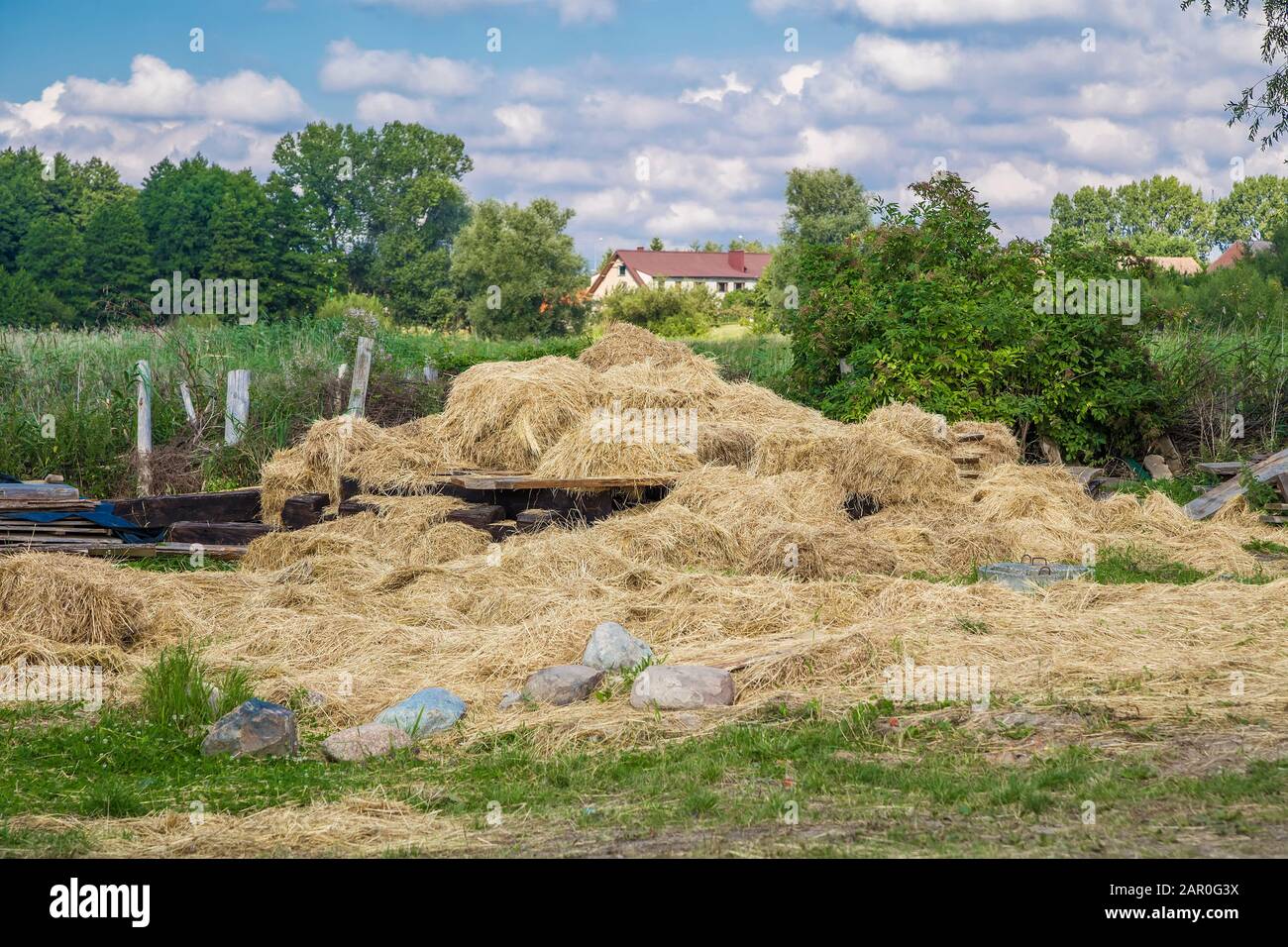 Rural landscape with a scattering of hay in the foreground Stock Photo
