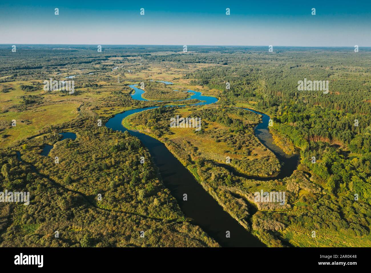 Aerial View Green Forest Woods And River Landscape In Sunny Summer Day. Top View Of Beautiful European Nature From High Attitude In Summer Season. Dro Stock Photo