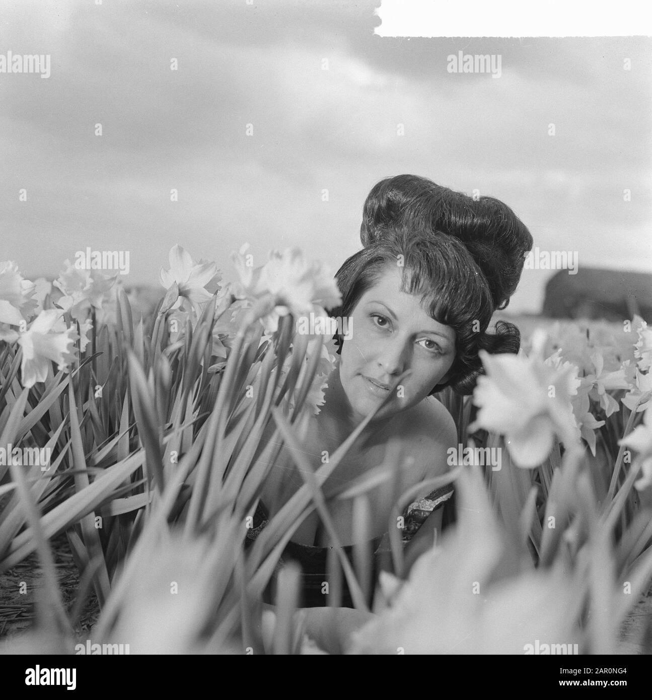 La Ligne Tulpia A New Hairstyle Of The Women S Hairdresser Hans