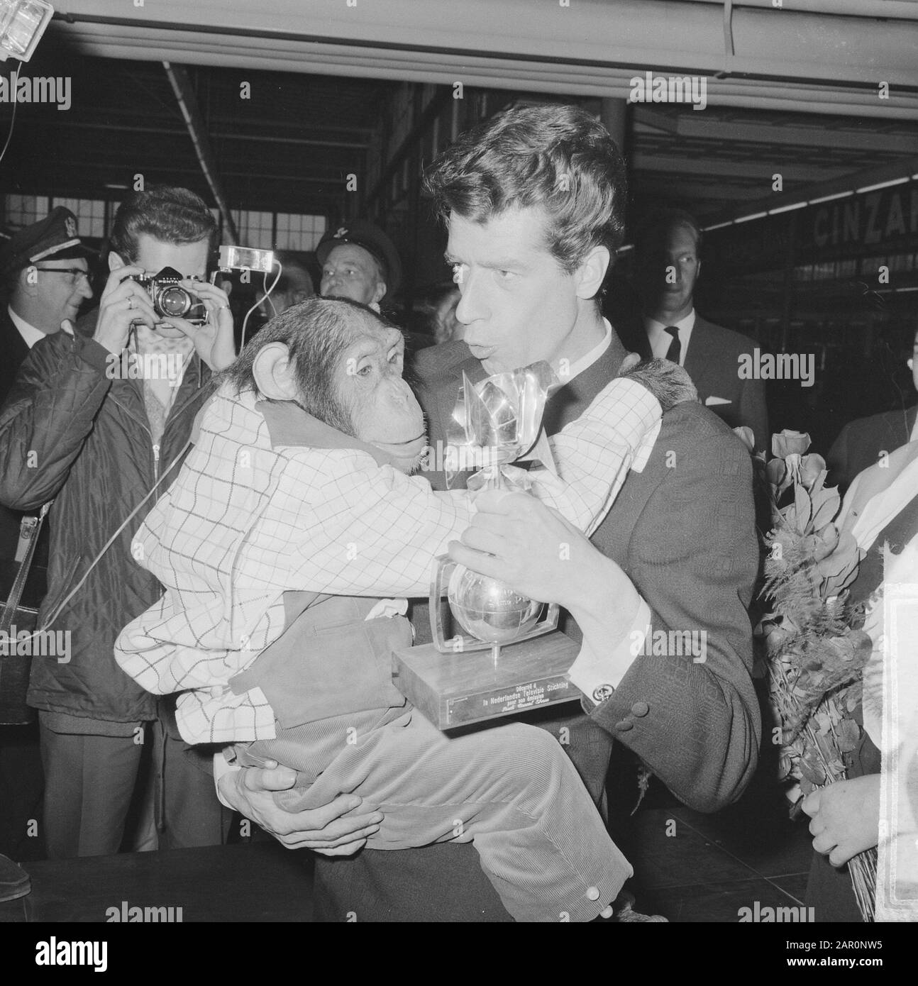 Rudi Carrell won the silver rose. Rudi Carrell with the chimpanzee Plato who plays in his show Date: 25 april 1964 Location: Noord-Holland, Schiphol Keywords: chimpanzees Personal name: Carrell, Rudi Institution name: Silver Rose Stock Photo
