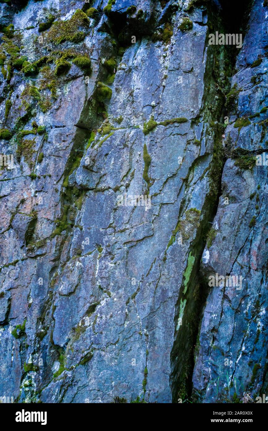 Rock wall with moss in the Buchberger Leite, Bavarian Forest, Lower Bavaria Stock Photo