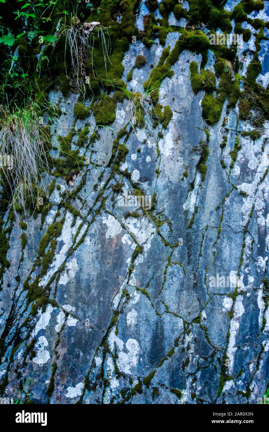Rock wall with moss in the Buchberger Leite, Bavarian Forest, Lower Bavaria Stock Photo