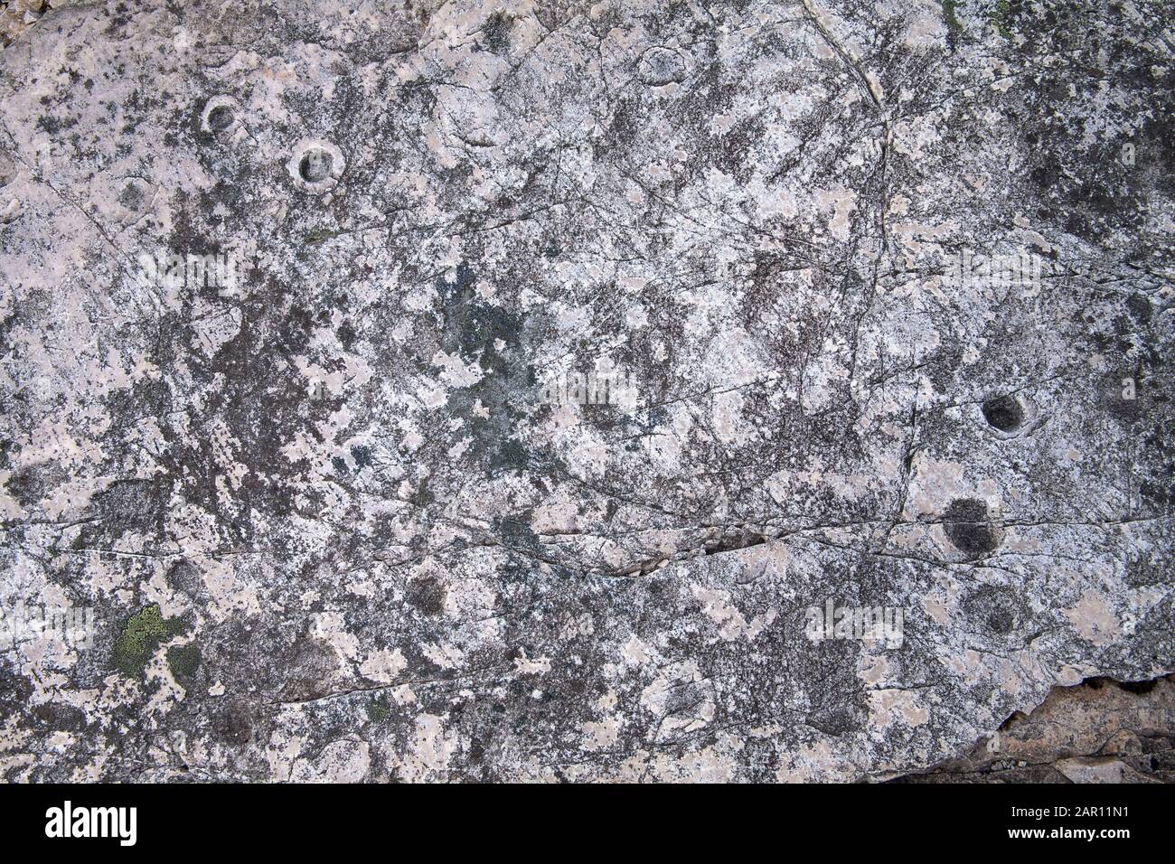 Pockmarks on the surface of whiteish Torridonian quarzite rock caused by fossilized worm burrows Stock Photo