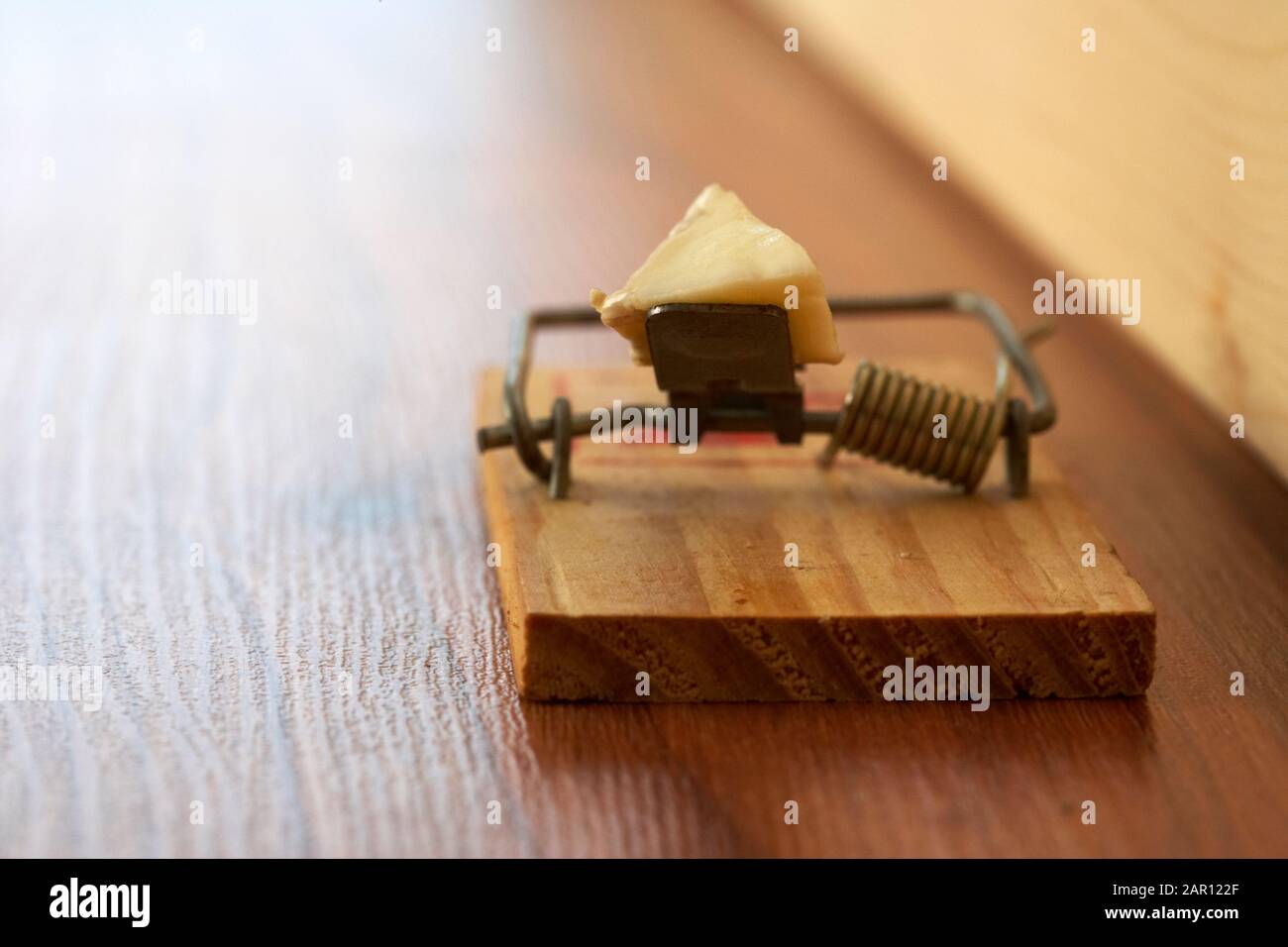 wooden traditional spring loaded mousetrap with cheese placed next to skirting board in house Stock Photo