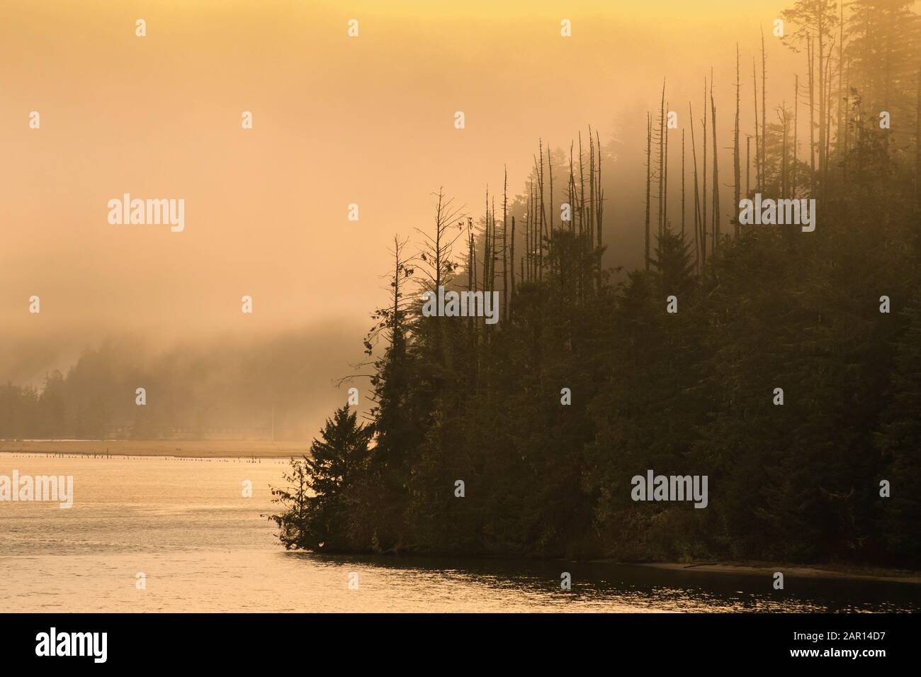 Fog lifting early morning on the Siuslaw River on the Oregon Coast Stock Photo
