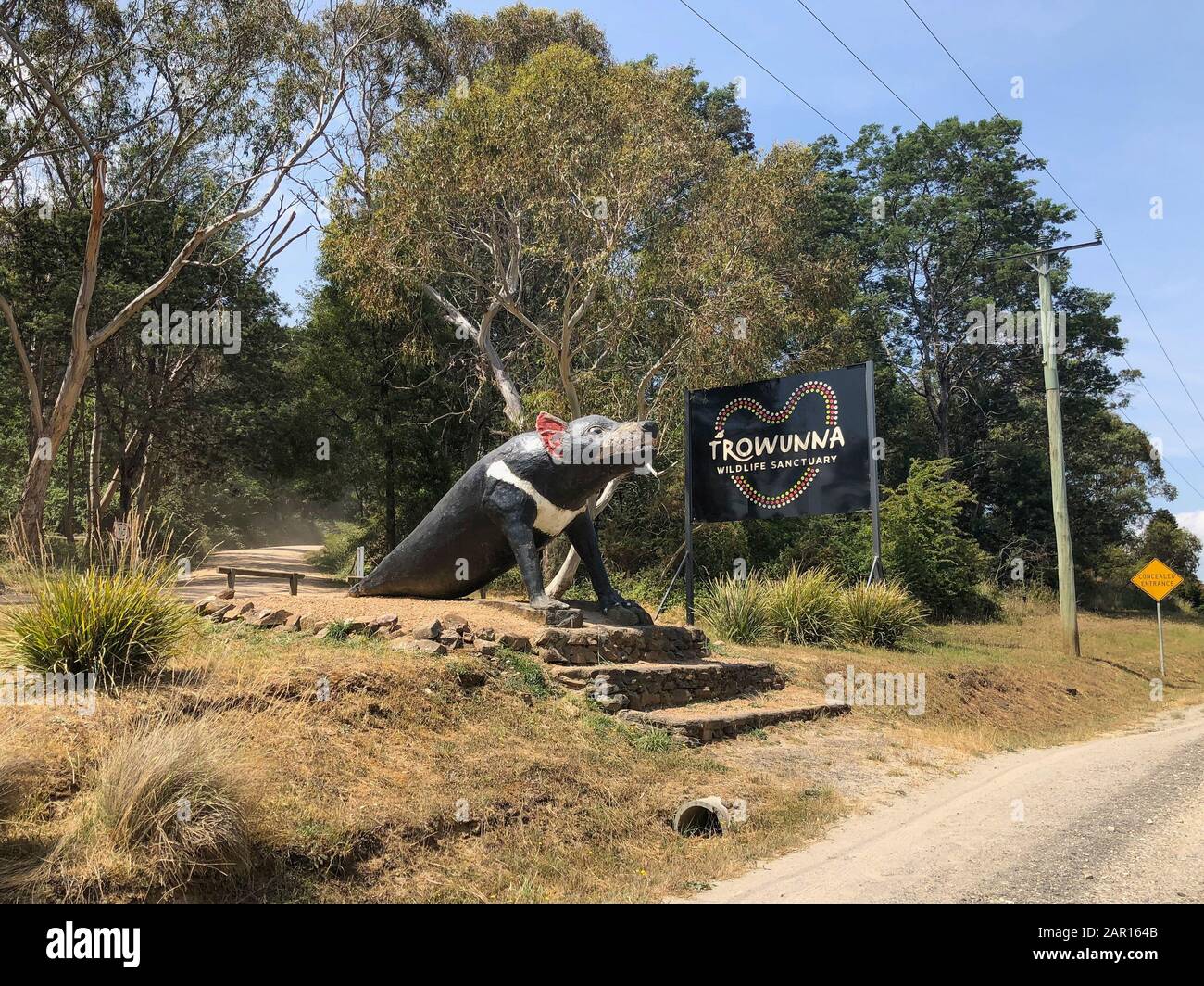 The giant Tasmanian Devil statue in front of the Trowunna Wildlife Park in Tasmania, Australia