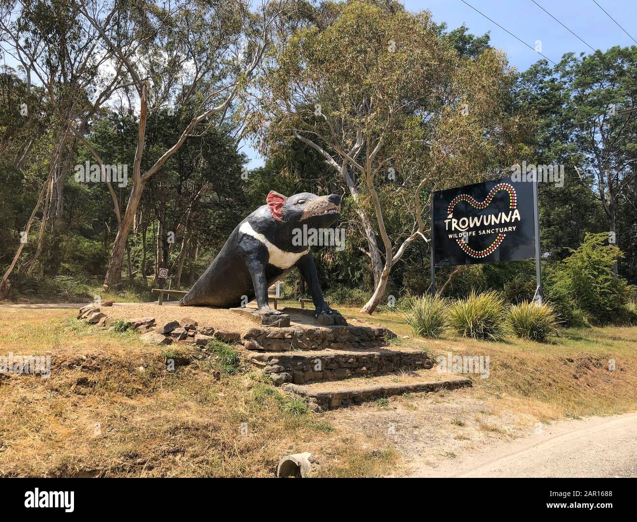 The giant Tasmanian Devil statue in front of the Trowunna Wildlife Park in Tasmania, Australia