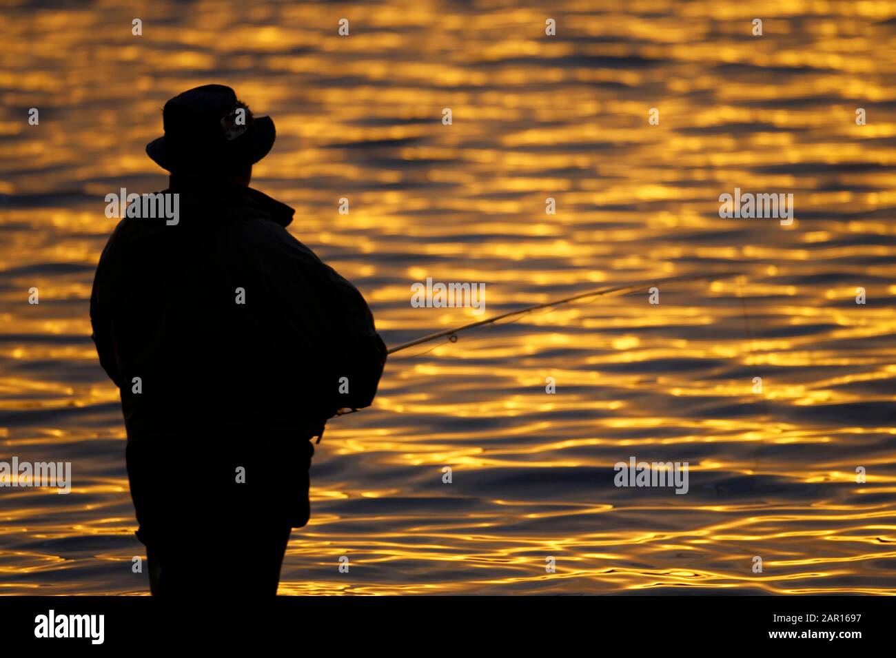 fisherman fly fishing reeling in on Stoneyford Reservoir at sunset, county antrim northern ireland during golden hour autumn evening lanscape Stock Photo