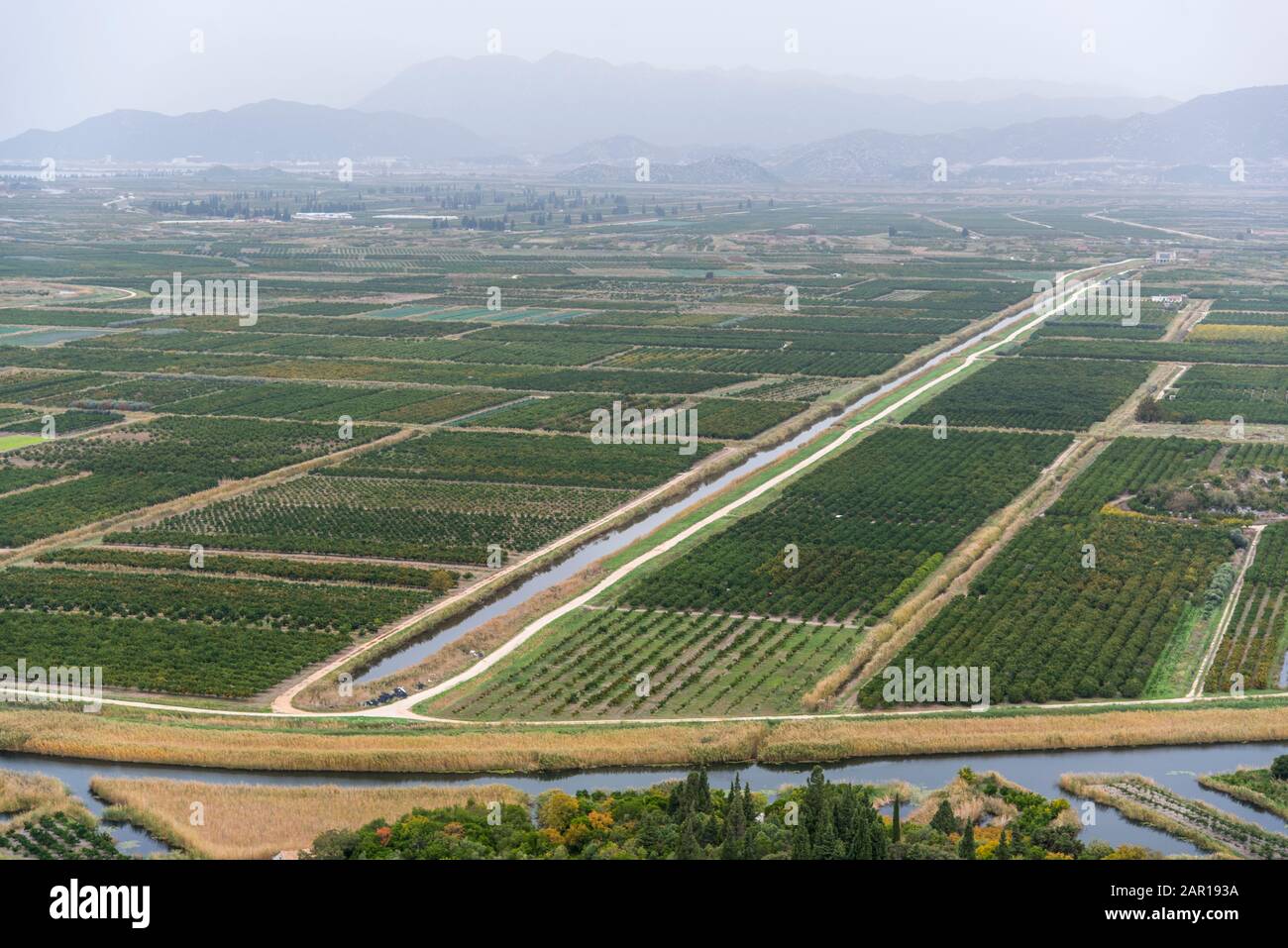 A view of the irrigated agricultural orchards and fields in the delta of the river Neretva in Opuzen, Croatia. Croatia, Dalmatia, orchards and gardens Stock Photo