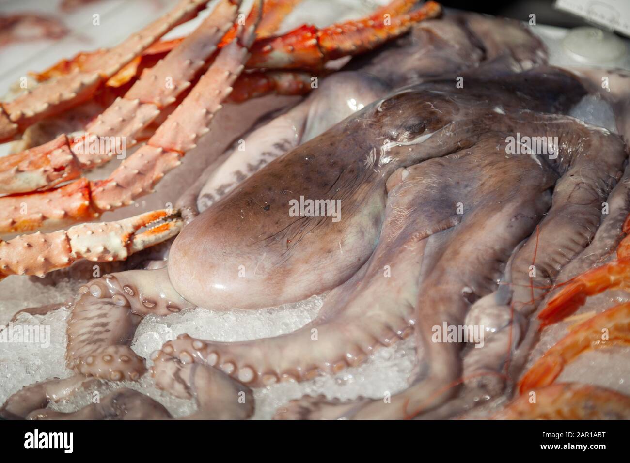 Fishing market with fish, seafood. Fresh octopus, crabs are laid out on  ice for sale Stock Photo