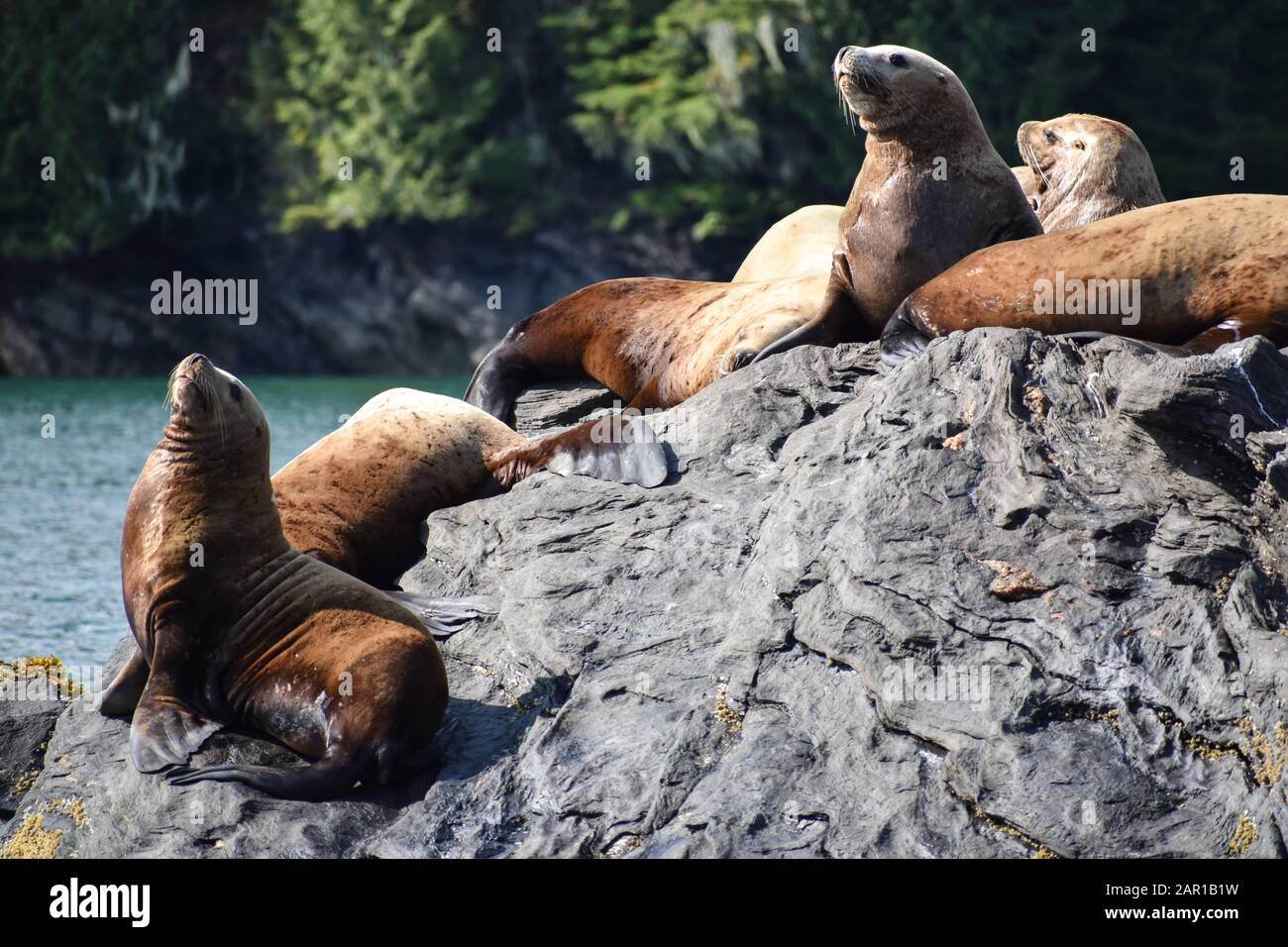 Alaska large hi-res stock photography and images - Alamy