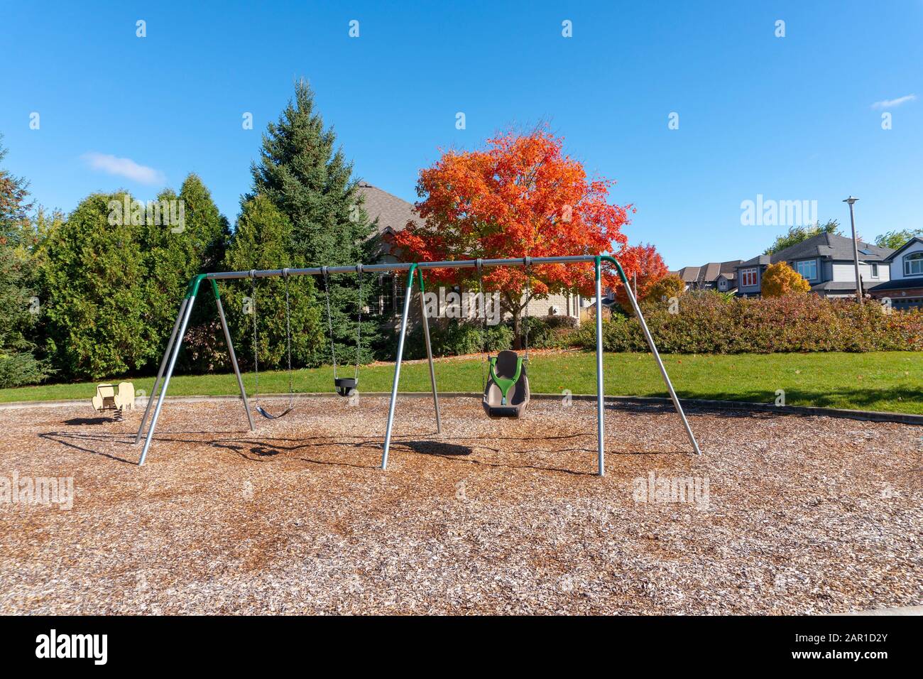 Swing on the playground against red maple tree on a sunny morning Stock Photo