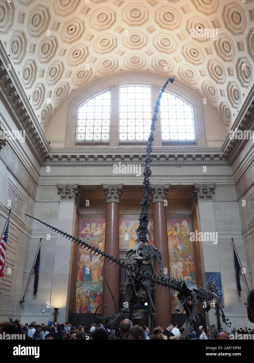 New York, USA - May 30, 2019: Image of the Theodore Roosevelt Rotunda. This hall is the entrance to the American Museum of Natural History in New York Stock Photo