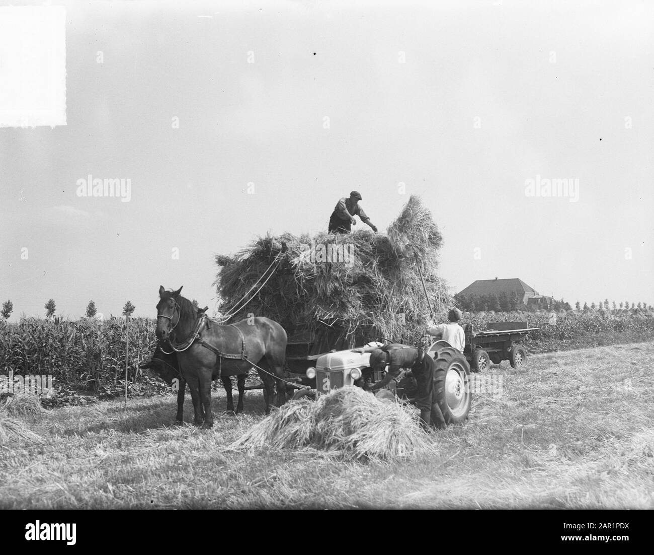 Harvest plates Date: August 25, 1949 Keywords: agriculture, harvesting ...