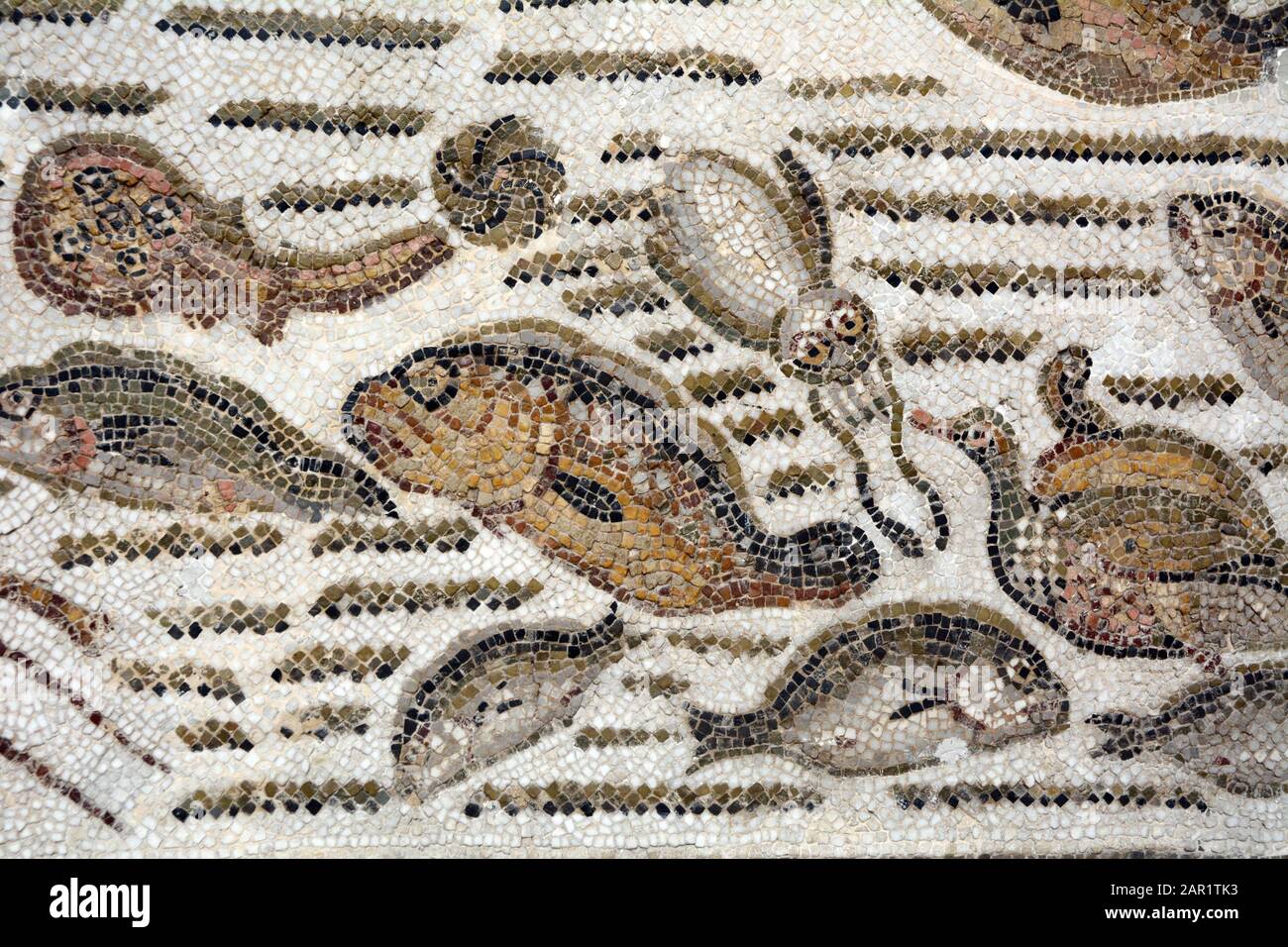 An ancient Roman mosaic from the 4th century A.D. depicting fish and other sea creatures at the Bardo National Museum in Tunis, Tunisia. Stock Photo