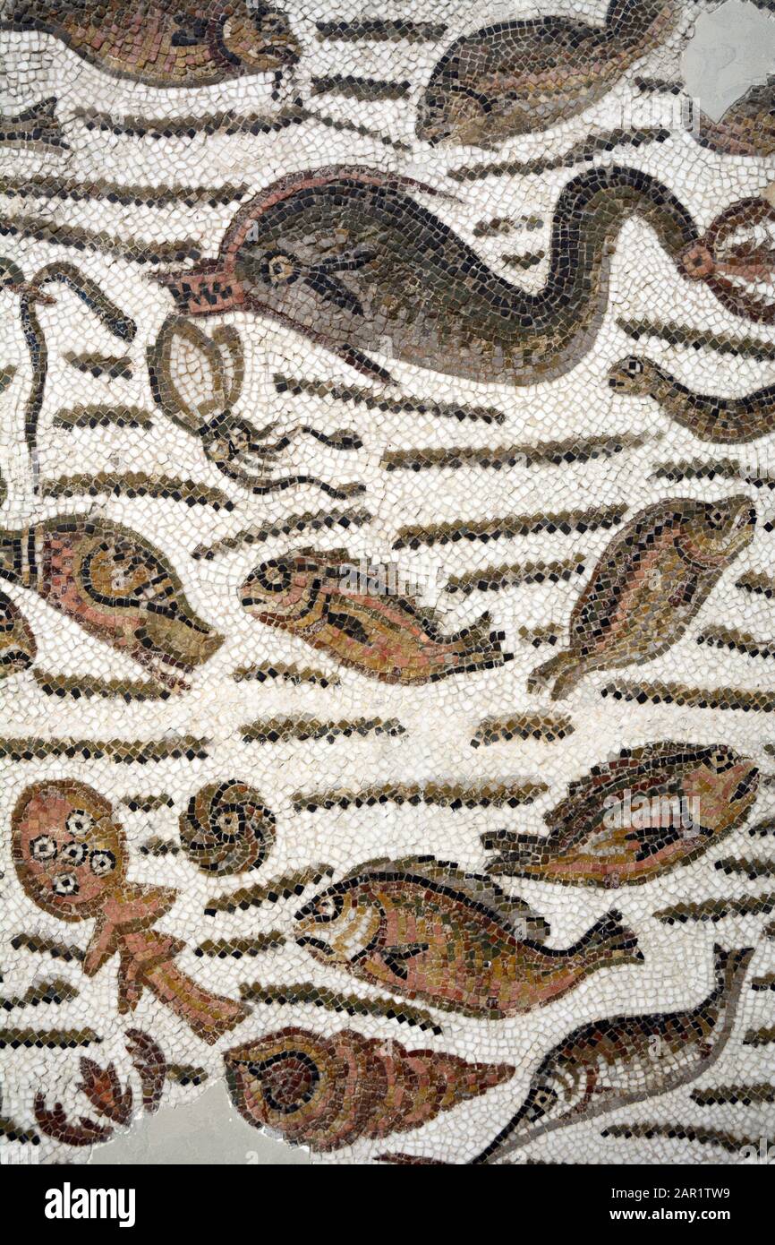 An ancient Roman mosaic from the 4th century A.D. depicting fish and other sea creatures at the Bardo National Museum in Tunis, Tunisia. Stock Photo