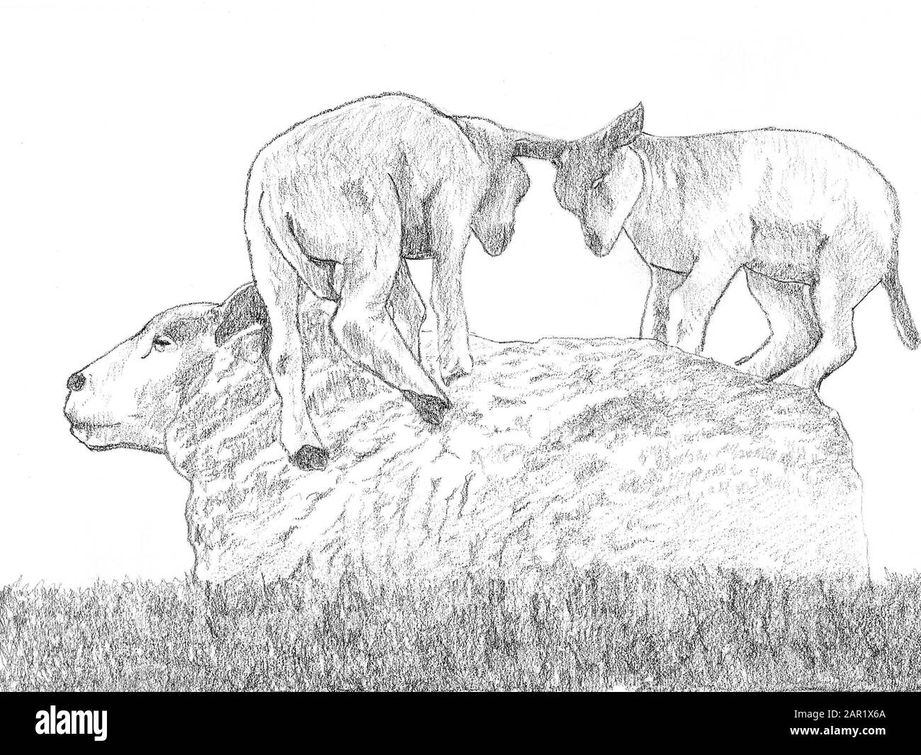 Pencil drawing agriculture hi-res stock photography and images - Alamy