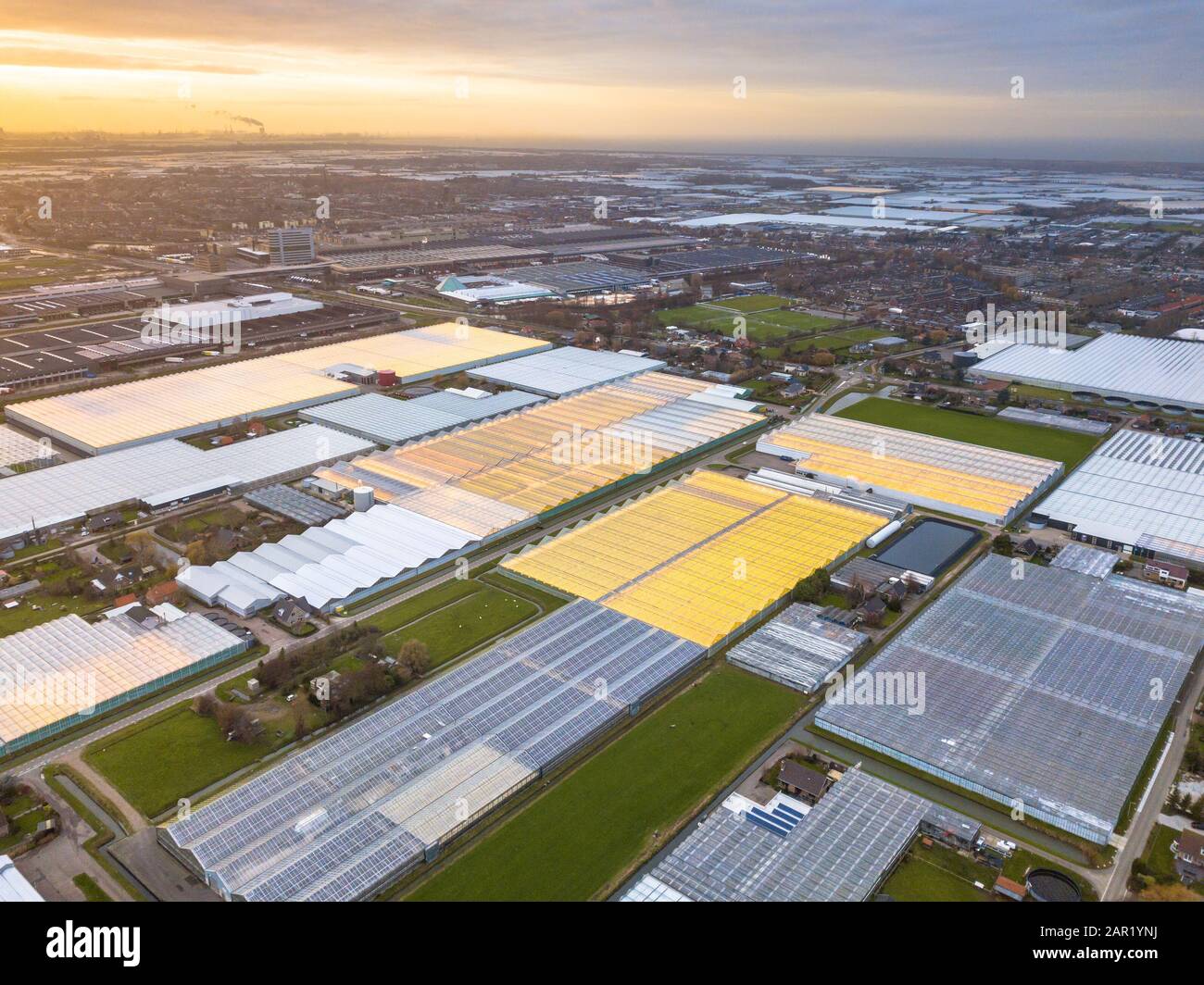 Aerial view of Westland or glass city Greenhouse horticulture area in
