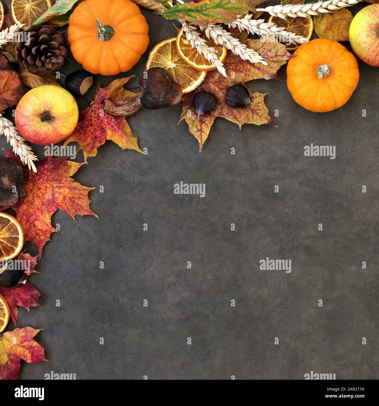 Autumn background border with food, flora and fauna on lokta paper background. Top view. Harvest festival theme. Stock Photo