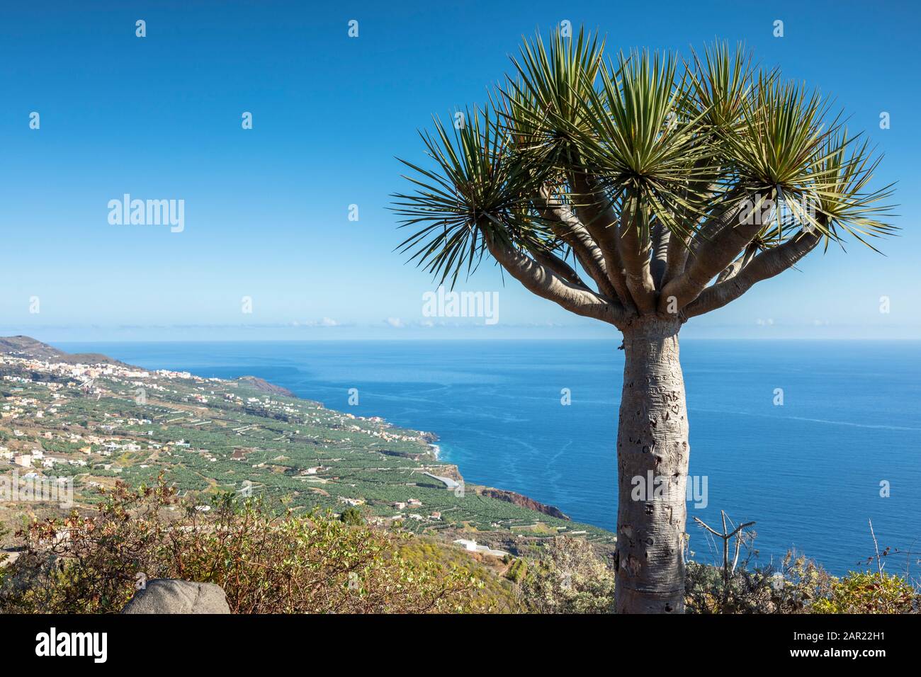 Bortolo High Resolution Stock Photography And Images Alamy