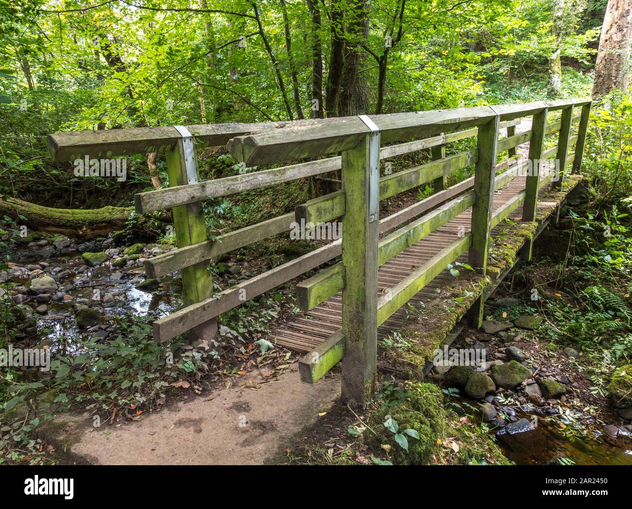 Small wooden bridge for people to cross over a stream in Deepdale Wood nature reserve, Barnard Castle, Teesdale, County Durham, England, UK. Stock Photo
