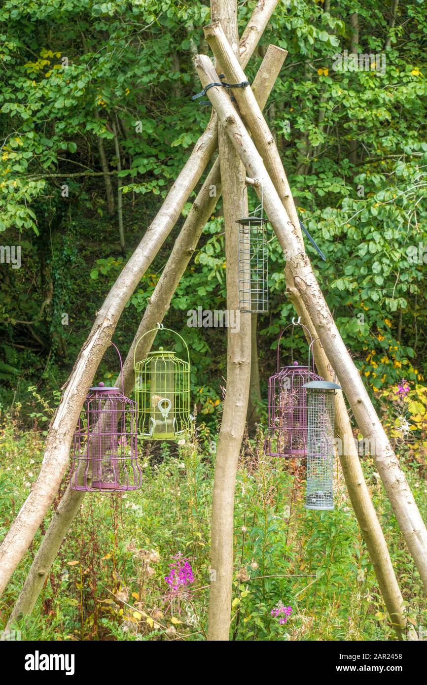 Bird feeder cages hanging from teepee / tent shape branches in Deepdale Wood nature reserve, Barnard Castle, Teesdale, County Durham, England, UK. Stock Photo