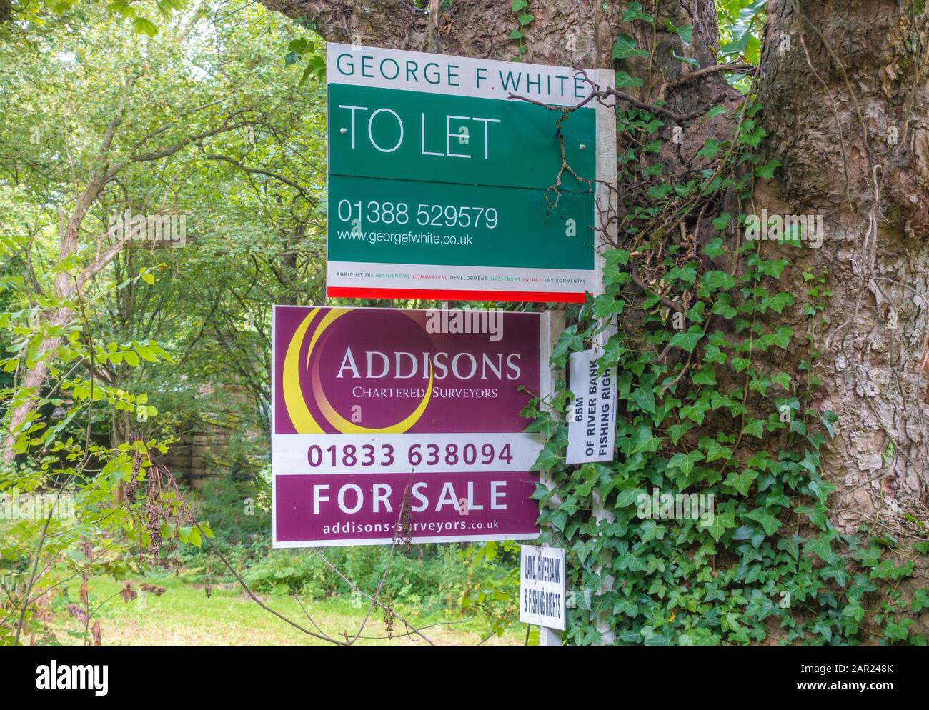 Sale and letting boards from local agents for land, riverbank and