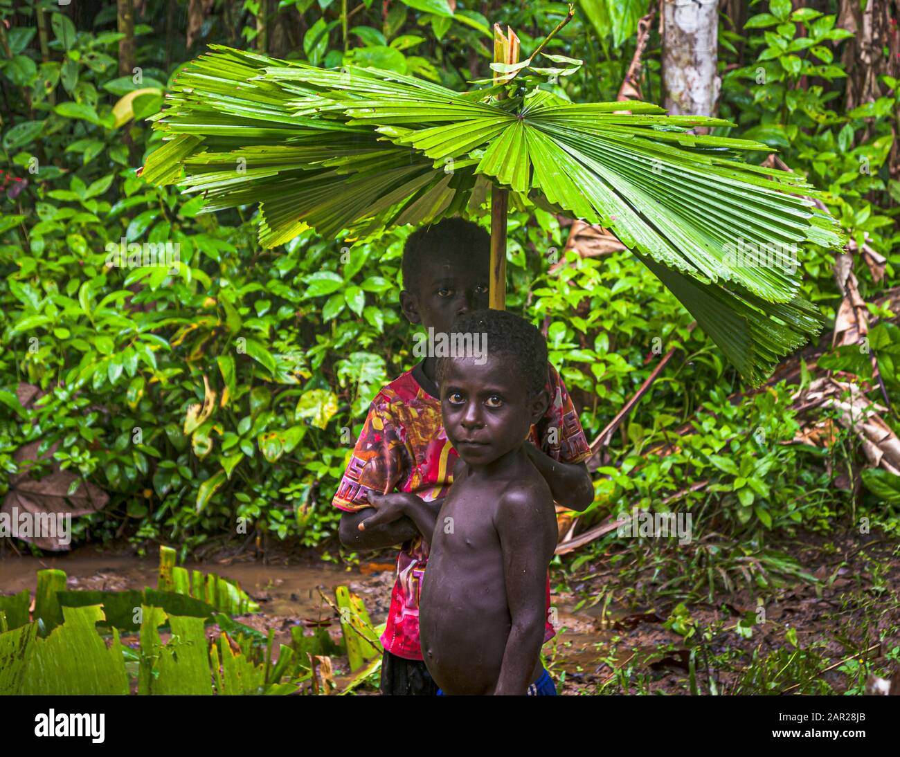 Two boys with self-made rain umbrellas in the jungle of Bougainville Stock Photo