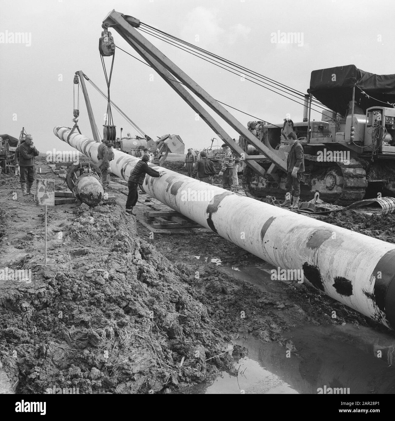 npc, pipelines, piping, machines, workers Date: 1965 Keywords: workers ...