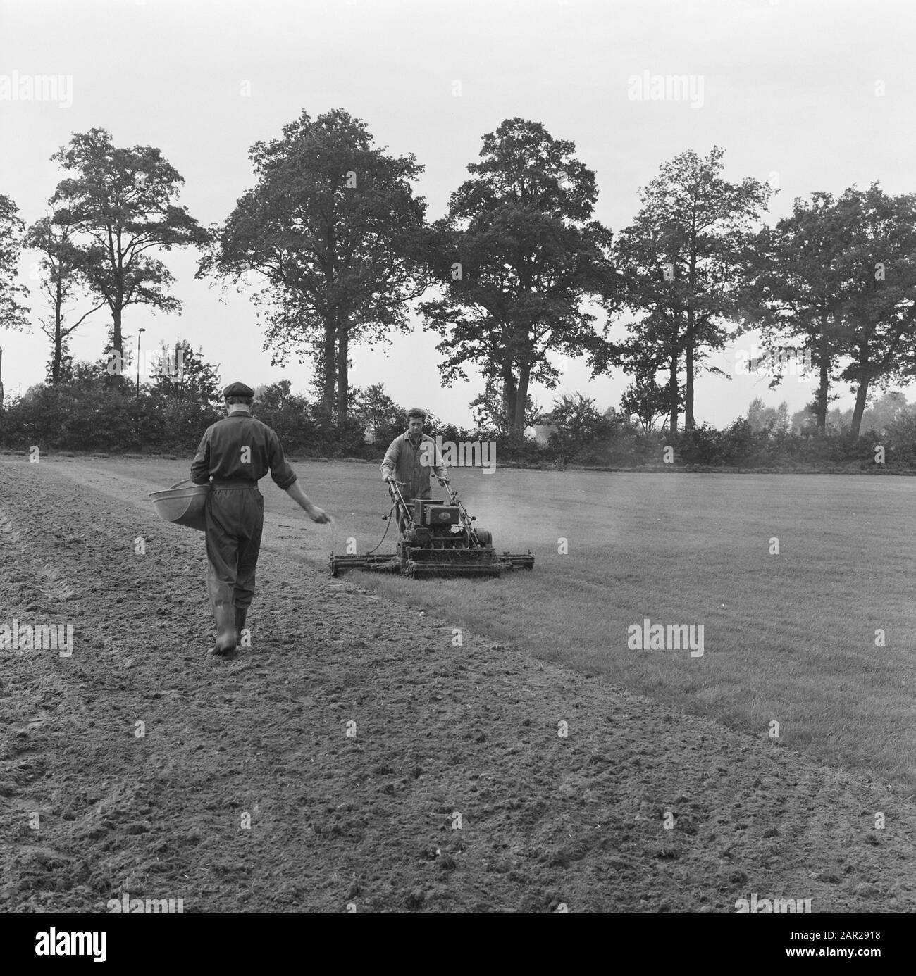 Locke lawn online mower