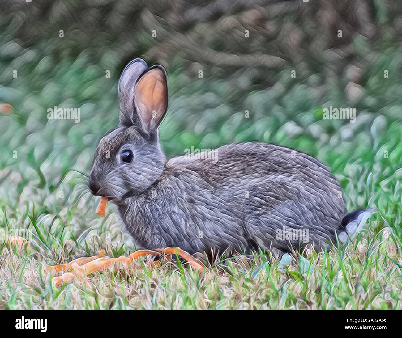 Animal lining hi-res stock photography and images - Alamy