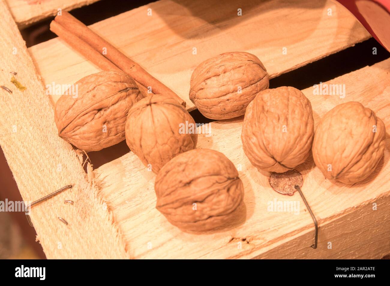 a walnut is the large wrinkled edible seed of a deciduous tree, consisting of two halves contained within a hard shell that is enclosed in a green fru Stock Photo