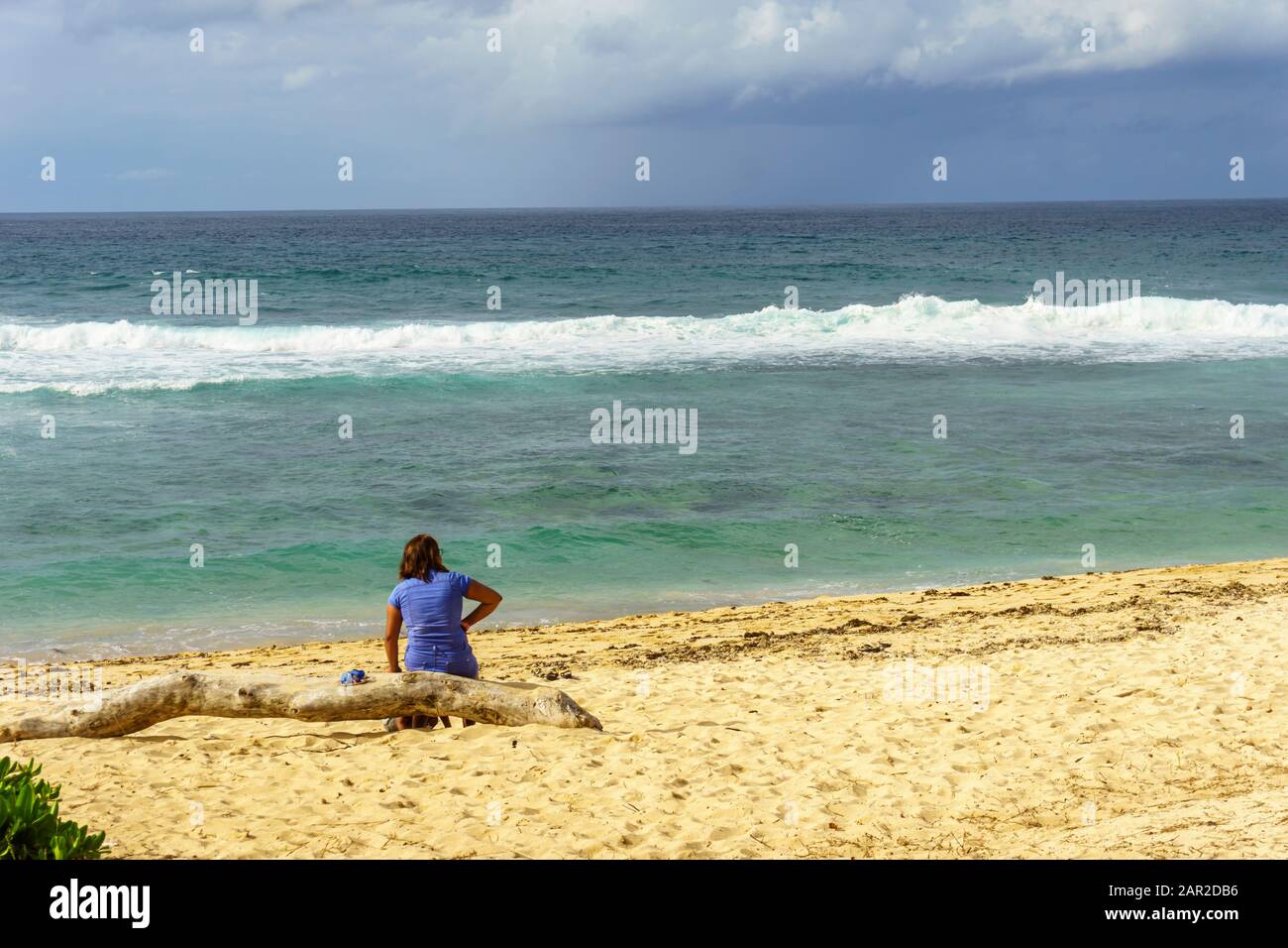 Gris-Gris beach, Mauritius, December 2019 - Lonely woman sitting on a dead stump of wood on the beach looks at the sea meditatively Stock Photo