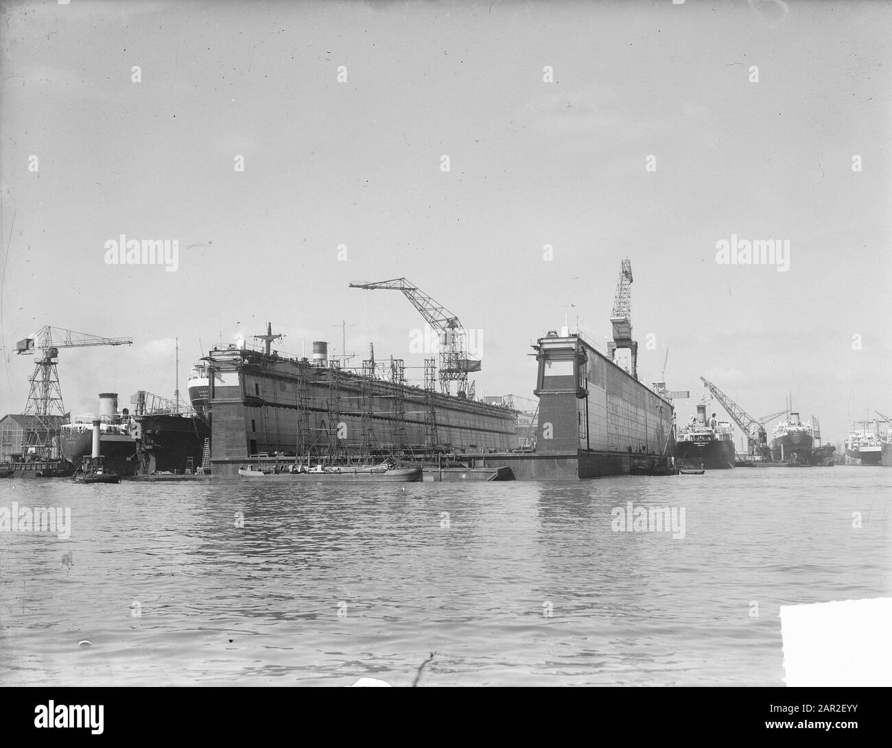 Schuur Negende Monica Dutch largest dock in Rotterdam restored Date: March 28, 1950 Location:  Rotterdam, Zuid-Holland Stock Photo - Alamy