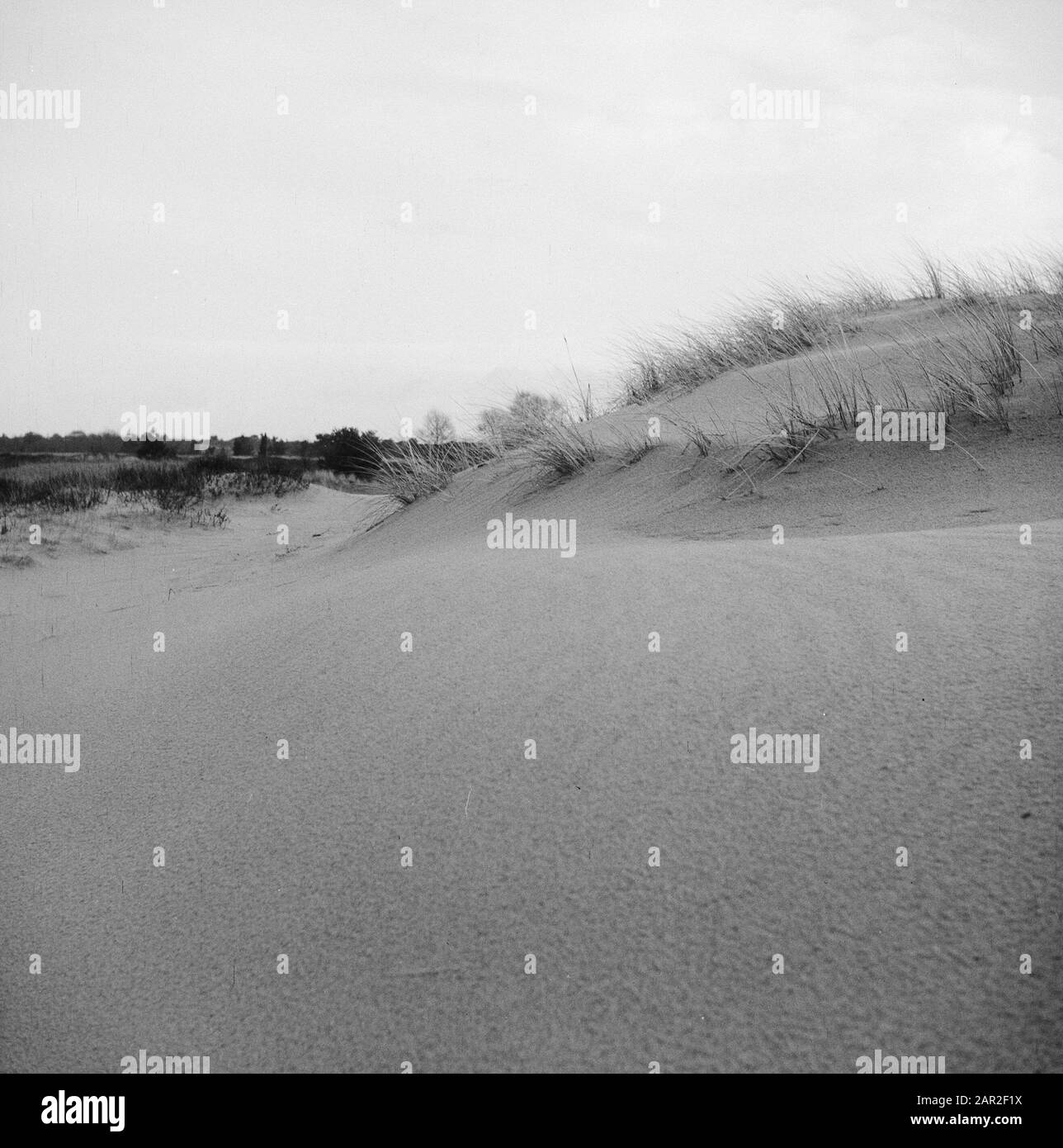 Coastal ecosystem landscape Black and White Stock Photos & Images - Alamy