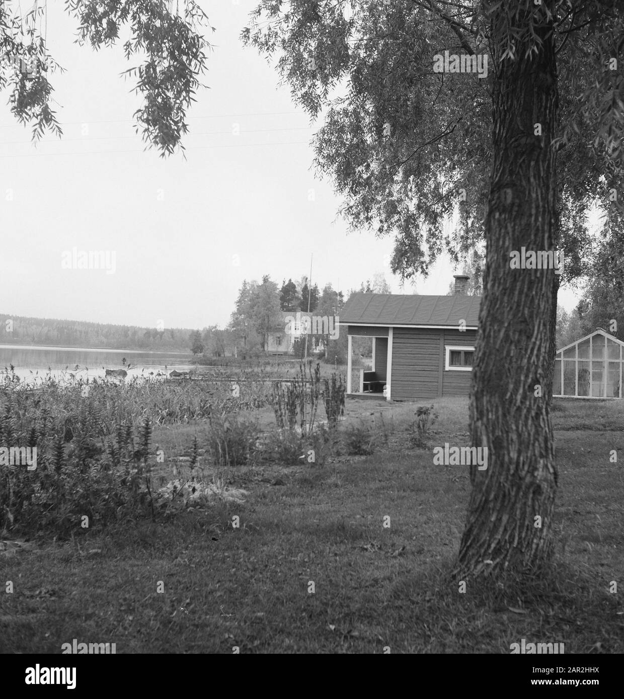 View landscaping trees shrubs Black and White Stock Photos & Images - Alamy