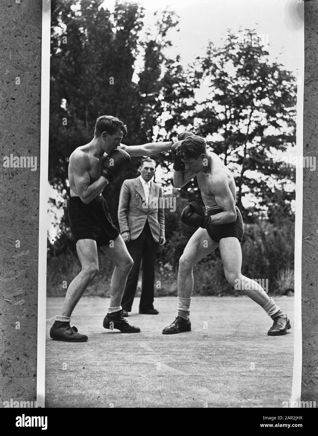 Luc van dam hires stock photography and images Alamy