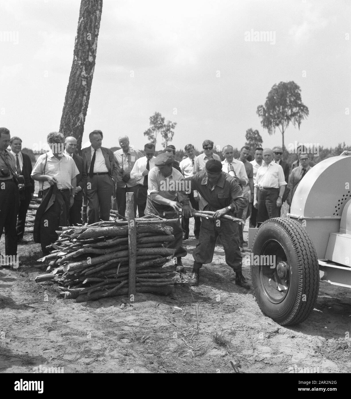 machines, tools, workers, logs Date: undated Keywords: workers, logs, machines, tools Stock Photo