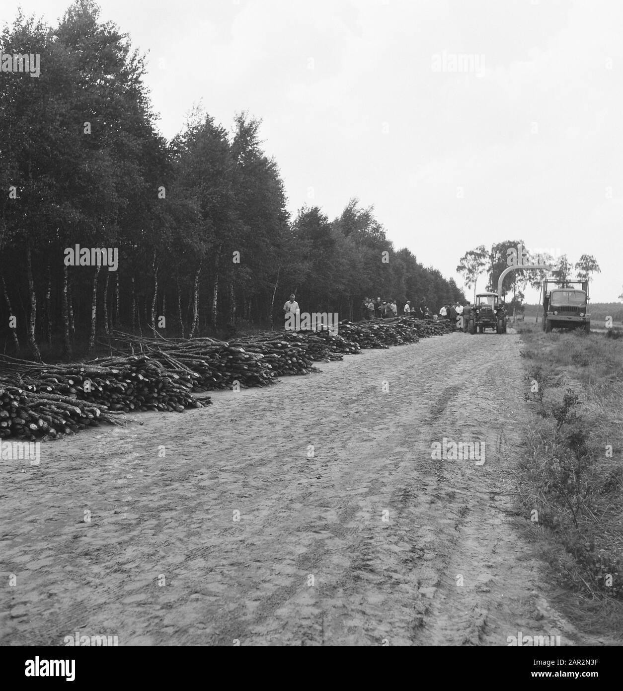 machines, tools, logs, workers Date: undated Keywords: workers, logs, machines, tools Stock Photo