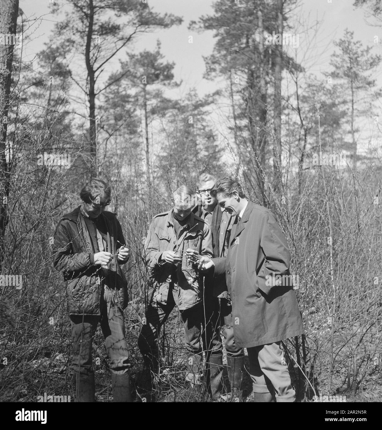 men, forests, conversations, viewing Date: undated Keywords: view, forests, conversations, men Stock Photo