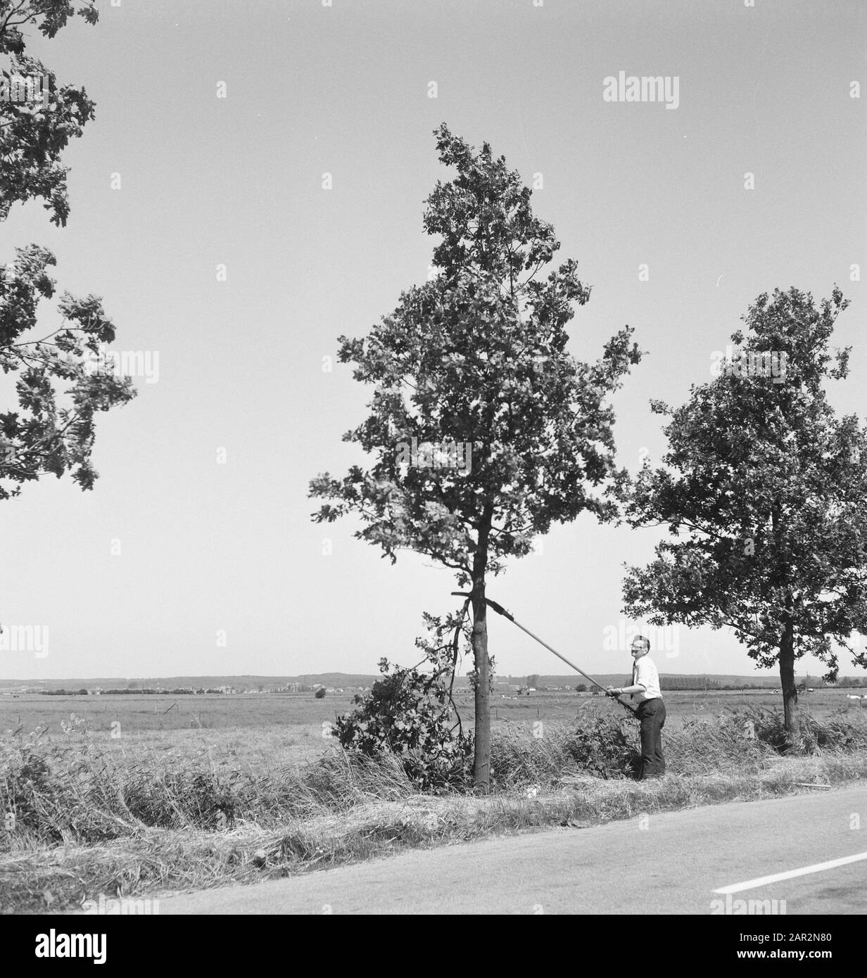roads, trees, shrubs, workers, tools Date: undated Keywords: workers, trees, tools, shrubs, roads Stock Photo