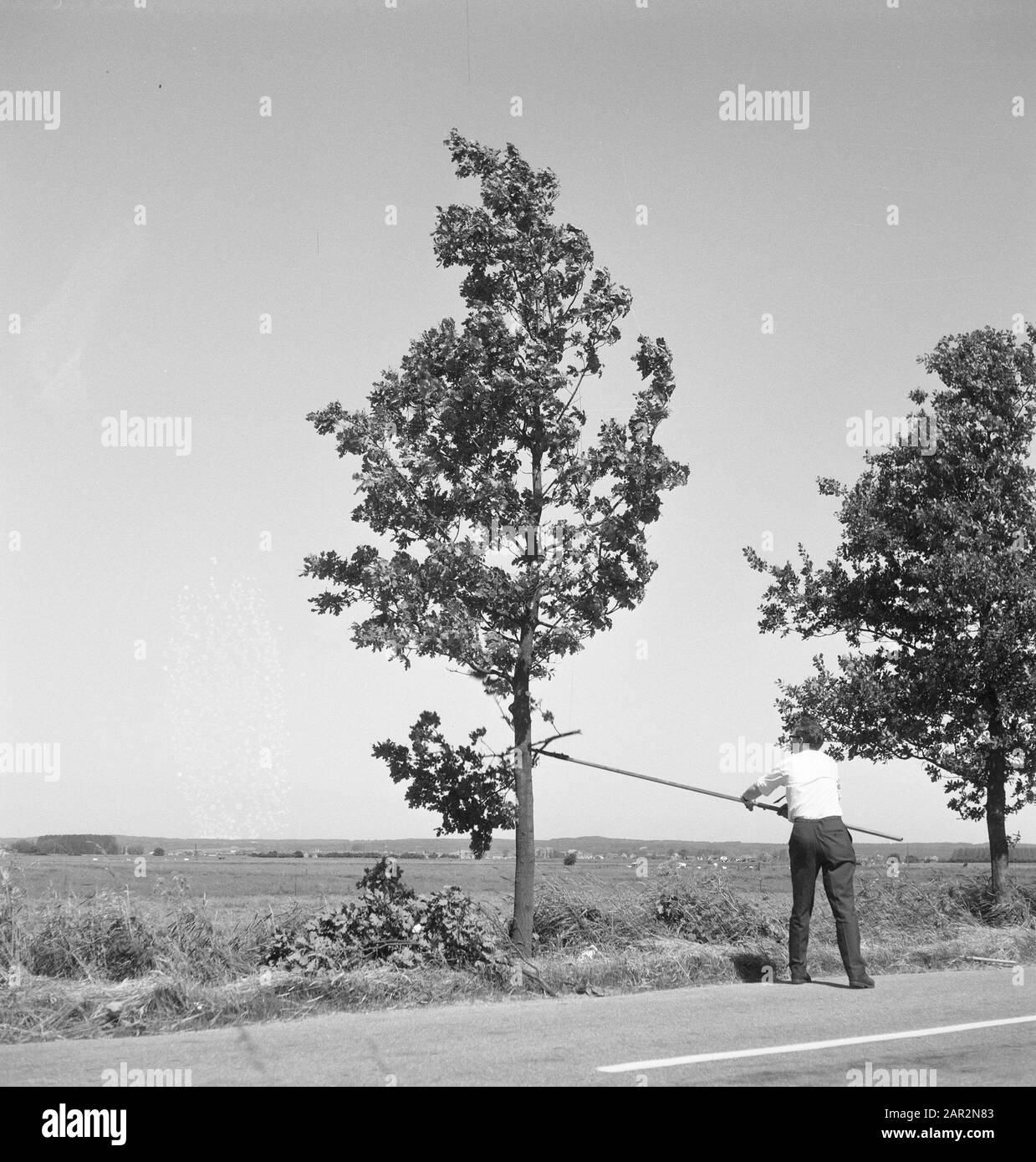 roads, trees, shrubs, workers, tools Date: undated Keywords: workers, trees, tools, shrubs, roads Stock Photo