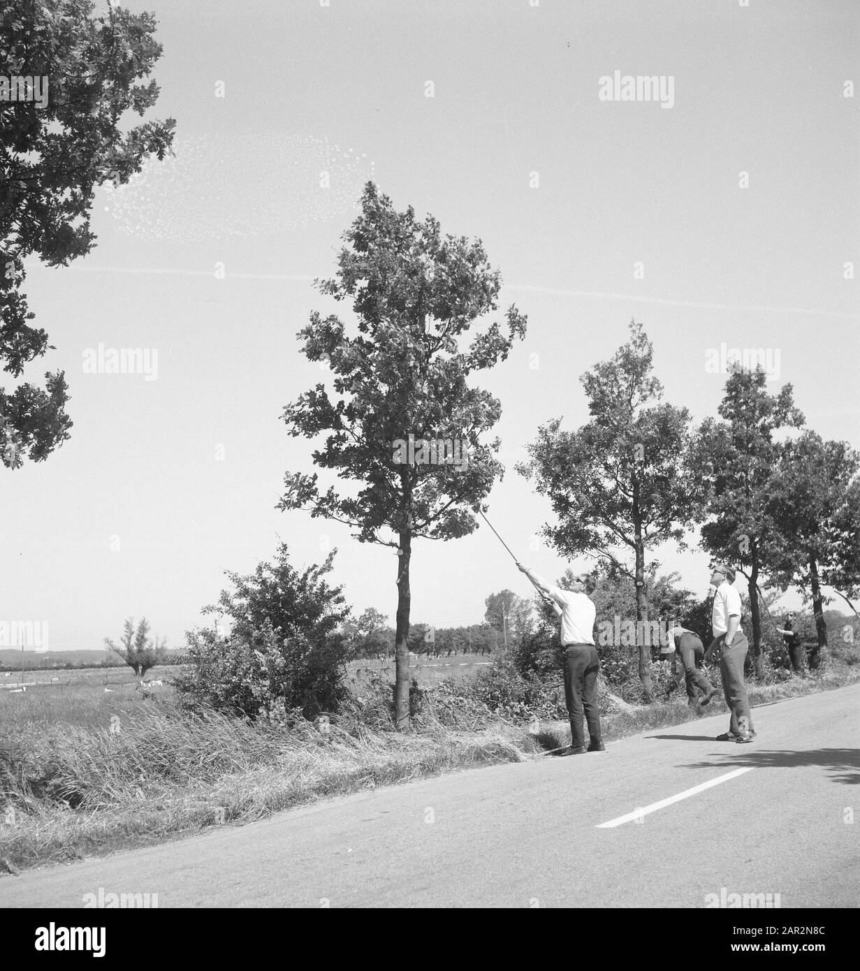 roads, trees, shrubs, workers, tools Date: undated Keywords: workers, trees, tools, shrubs, roads Stock Photo