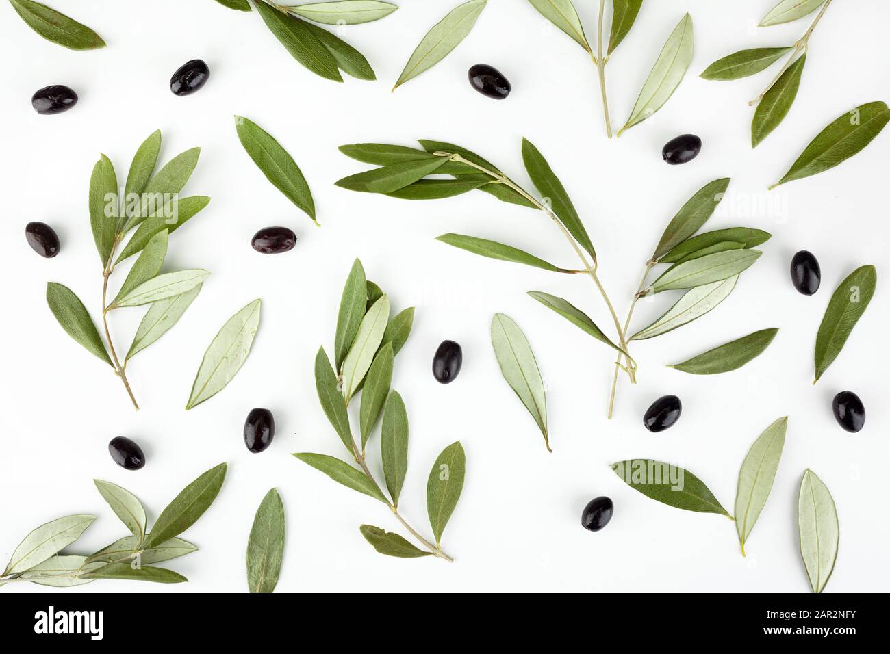 Top view of fresh black olive fruit with leaves on white background. Stock Photo