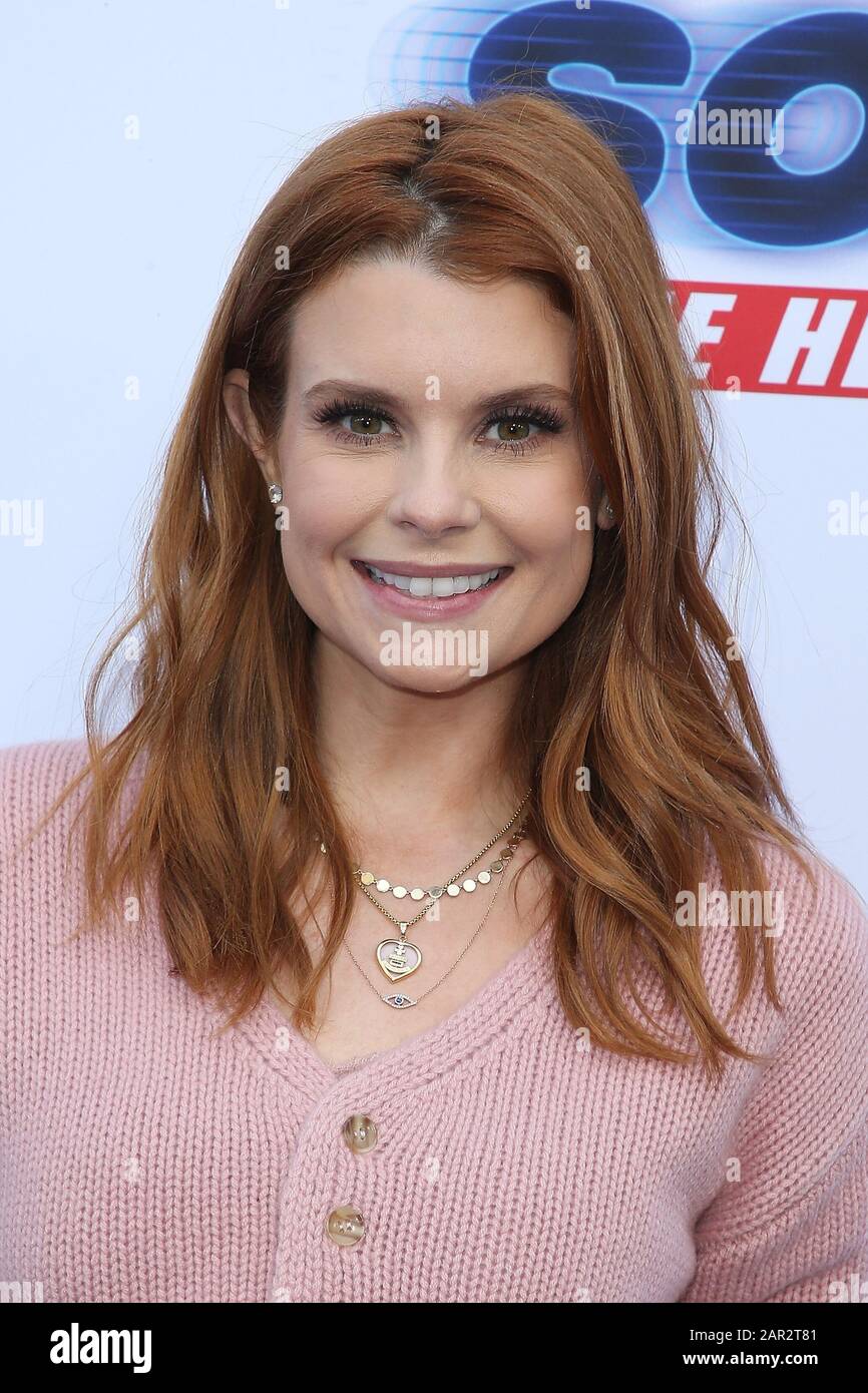 Los Angeles, USA. 25th Jan, 2020. JoAnna Garcia attends the LA Premiere Of 'Sonic The Hedgehog' held at the Paramount Studios on January 25, 2020 in Los Angeles, California, United States. (Photo by Art Garcia/Sipa USA) Credit: Sipa USA/Alamy Live News Stock Photo