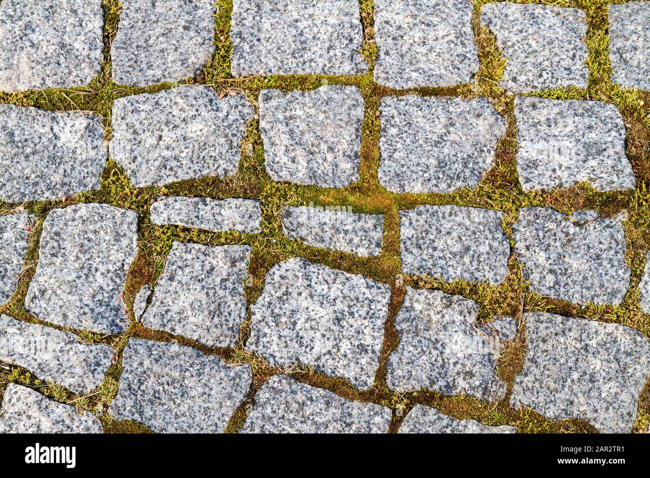 paving stones and green moss Stock Photo Alamy