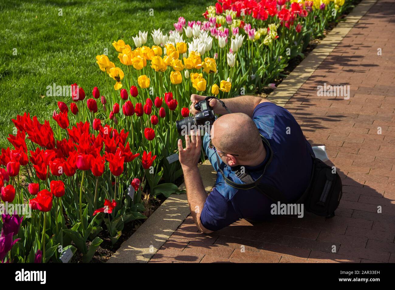 May 2, 2019, Pella, Iowa, USA. male photographer taking a picture of
