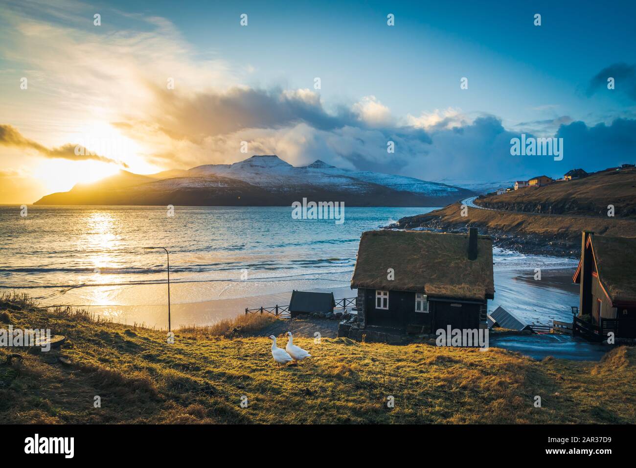 A couple of geese in front of turf houses in Leynar at sunset. Faroe Islands Stock Photo