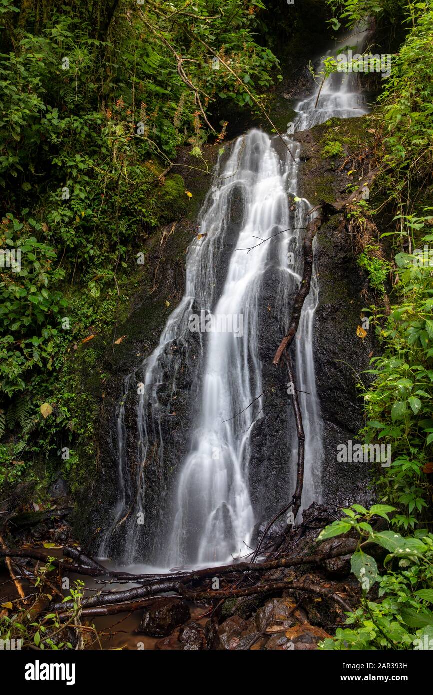 Cascada Las Bromelias Waterfall - Paraiso Quetzal Lodge, San Gerardo de Dota, San Jose Province, Costa Rica Stock Photo