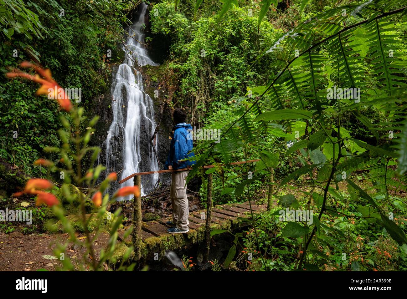 Hiker at Cascada Las Bromelias Waterfall - Paraiso Quetzal Lodge, San Gerardo de Dota, San Jose Province, Costa Rica Stock Photo